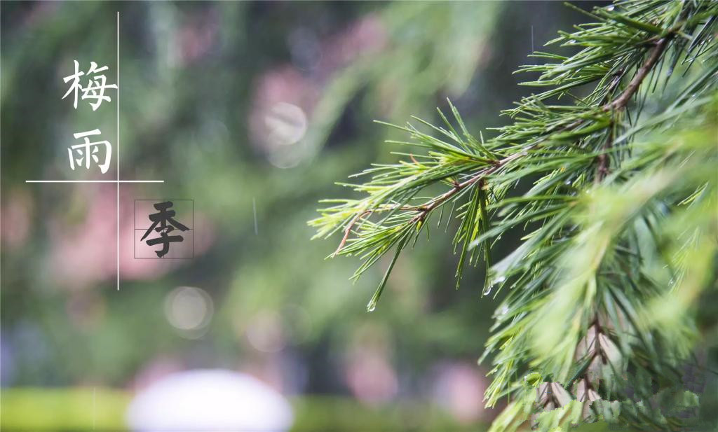 雨季到來，涂料施工需注意哪些問題